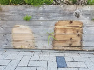 Voorbeeld van het hout wat behandeld is met Cleeny, voor beschermen en reinigen van hout