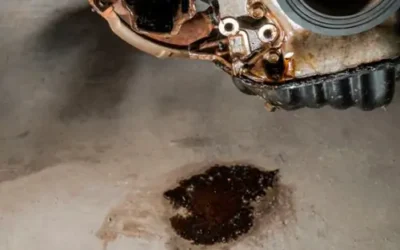 Olie- of frituurvetvlekken in beton, bestrating, natuursteen of hout? Zo verwijder je ze!
