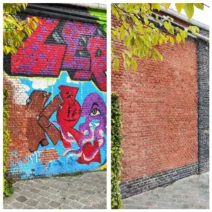 cleeny professionele schoonmaakmiddelen Graffiti verwijderen (1)