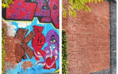 Verf verwijderen van muren met Cleeny Bio verfafbijt