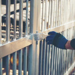 construction-worker-painting-fence-home_1150-5910-250x250